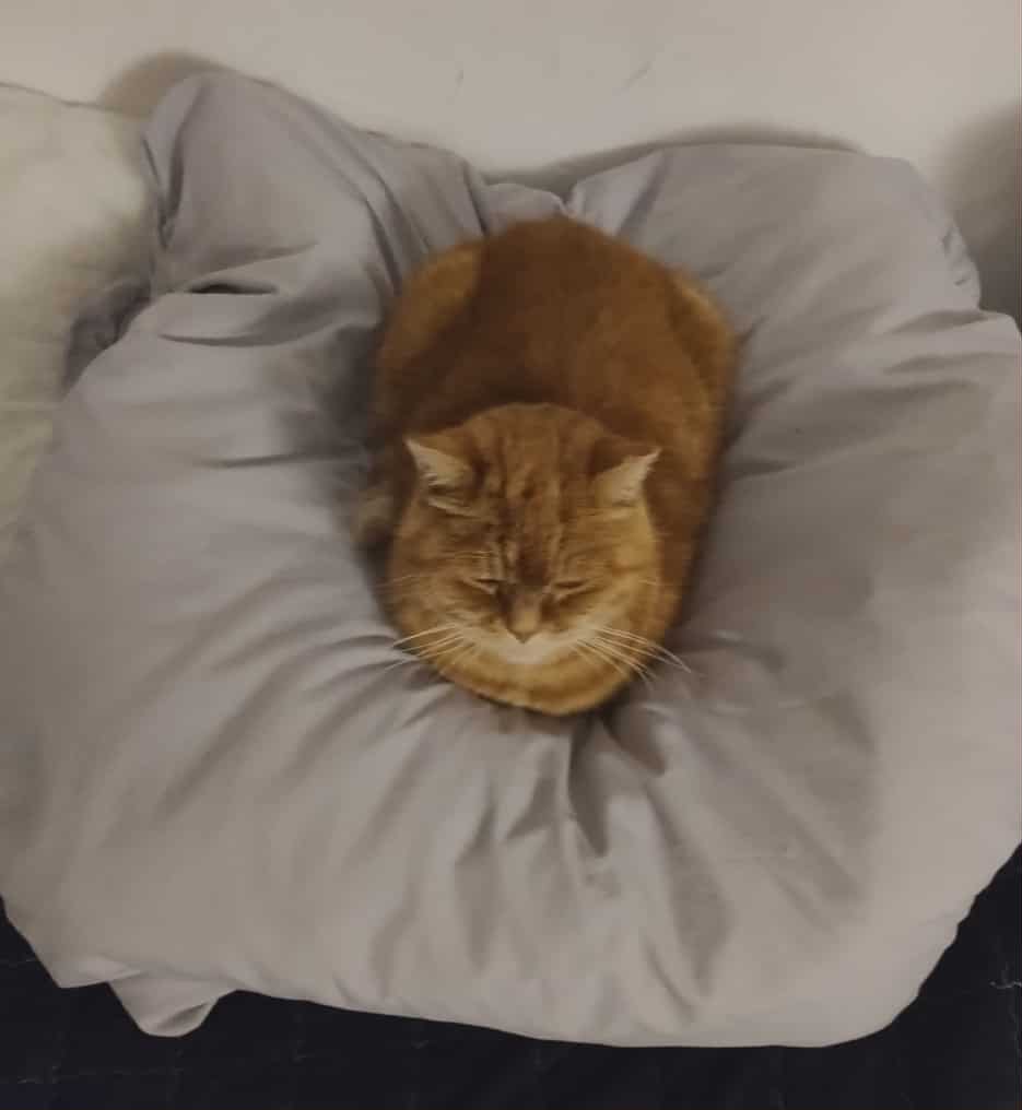 74766045 Aca2 4739 A6d2 Ba2532c187eb 1